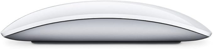 Apple Wireless Keyboard with Apple Magic Bluetooth Mouse